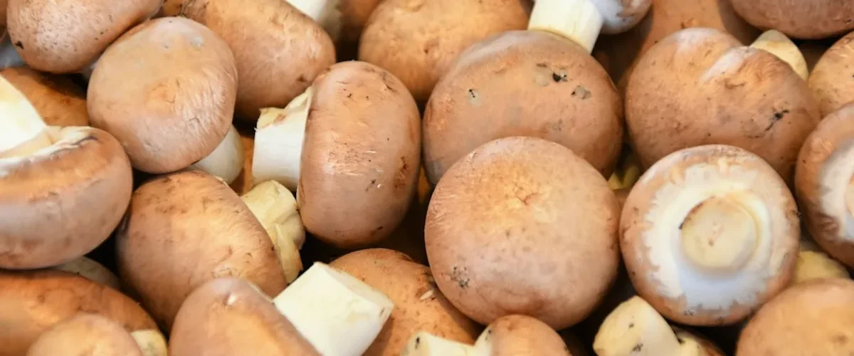 faut il laver champignons paris avant cuisiner