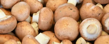 faut il laver champignons paris avant cuisiner